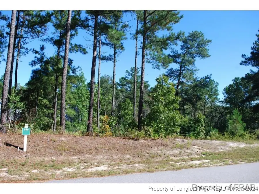 162 Broadlake (636) Lane, Spring Lake, NC 28390 - Image #3