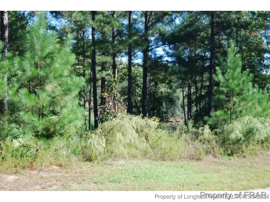 152 Broadlake (635) Lane, Spring Lake, NC 28390 - Image #3