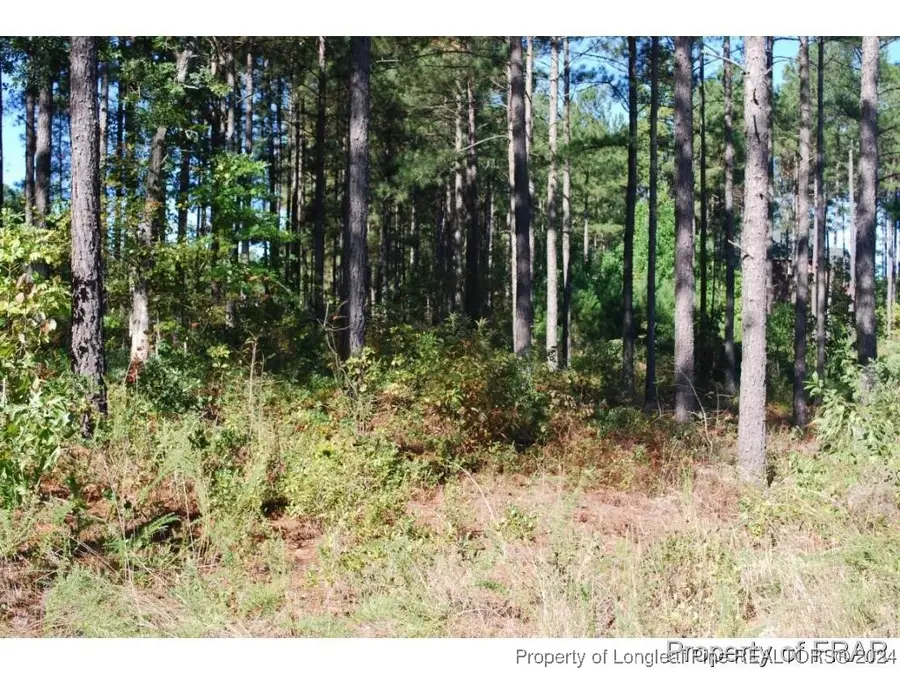 45 Broadlake (479) Lane, Spring Lake, NC 28390 - Image #3