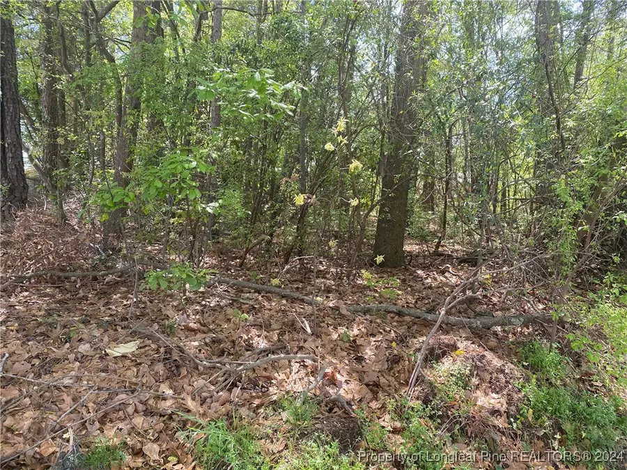 1450 Pamalee Drive, Fayetteville, NC 28303 - Image #2