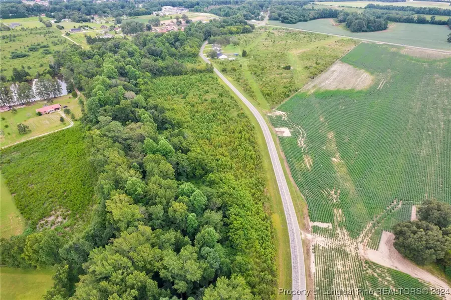 Wallace Mclean Road, Raeford, NC 28376 - Image #3