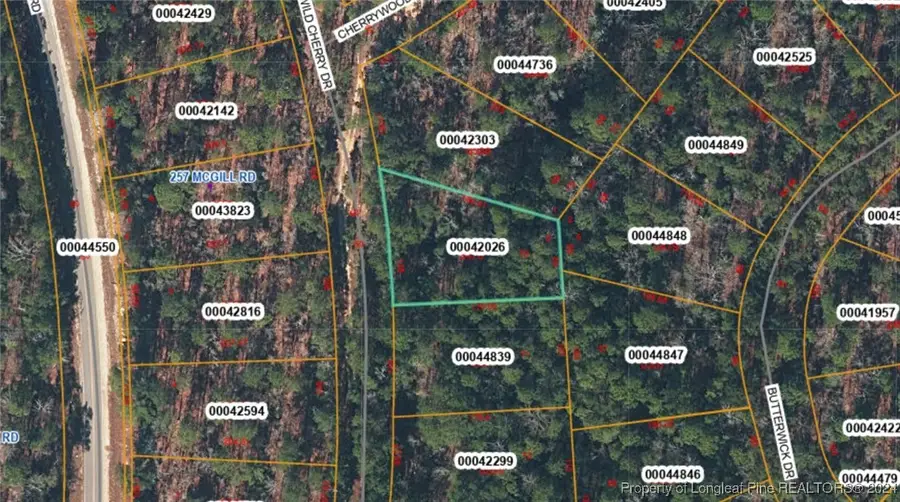 TBD Wild Cherry Drive, Vass, NC 28394 - Image #2