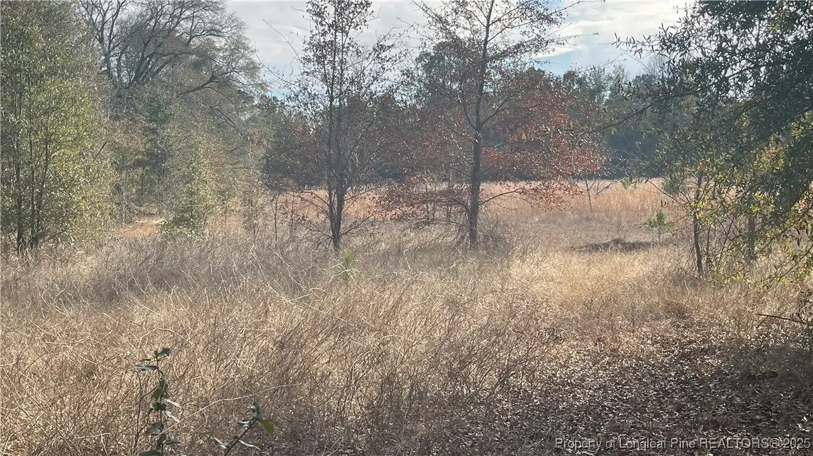 5750 Mack Simmons Road, Fayetteville, NC 28312 - Image #1