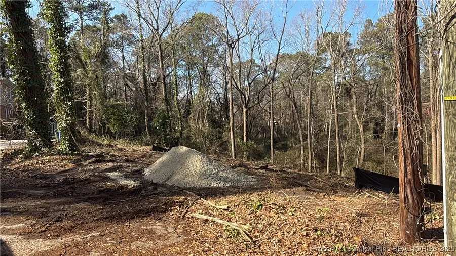 911 Lewis Street, Fayetteville, NC 28303 - #3