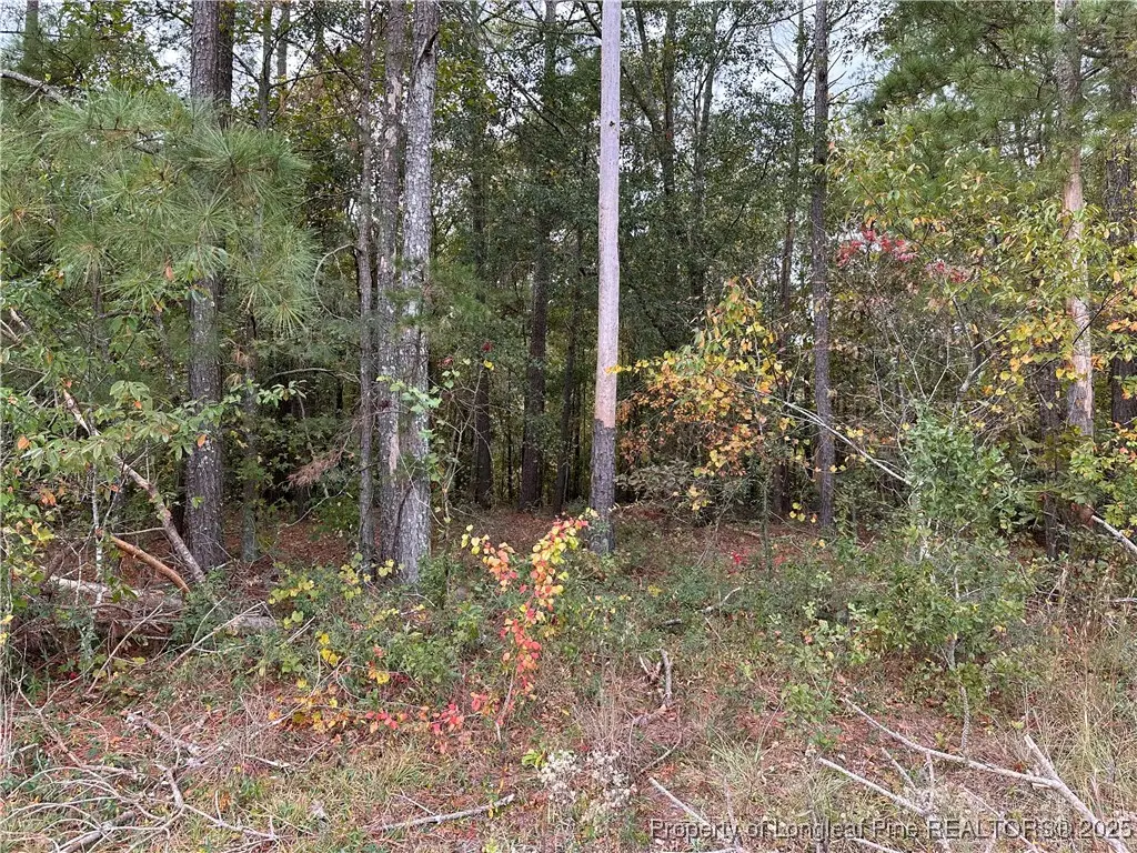 Lot 1 Midway Road, Maxton, NC 28364 - Image #1