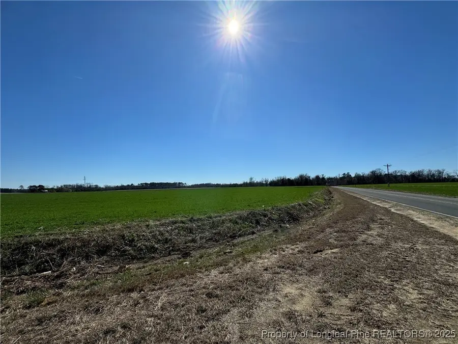 615 Butler Road, Fairmont, NC 28340 - Image #3