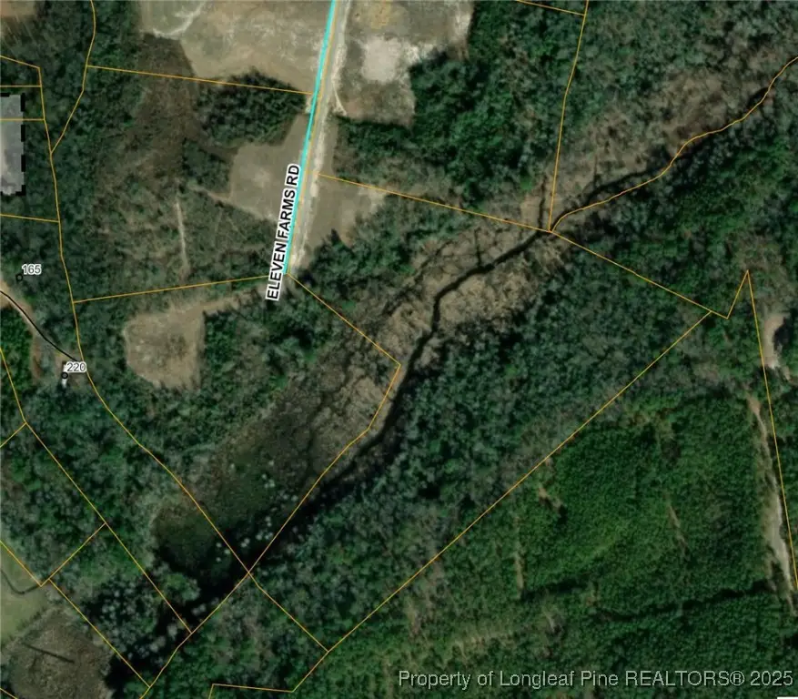 Lot 49 Eleven Farms Rd, Salemburg, NC 28385 - Image #1