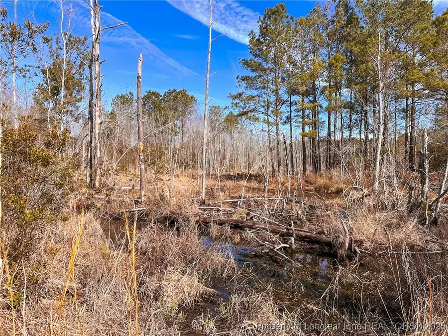 TBD Snake Road, Lumberton, NC 28358 - Image #3