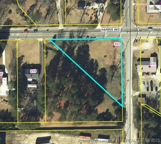203 Harris Avenue, Raeford, NC 28376 - Image #1