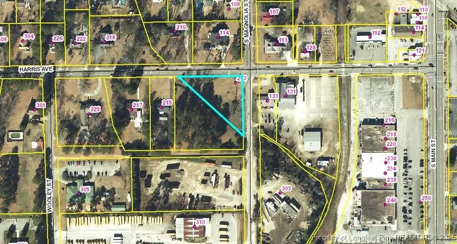 203 Harris Avenue, Raeford, NC 28376 - Image #2