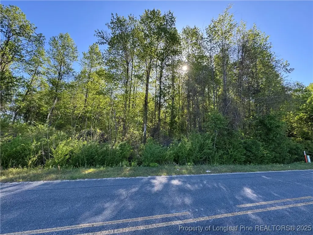 Mcbryde Mill Road, Red Springs, NC 28377 - Image #1