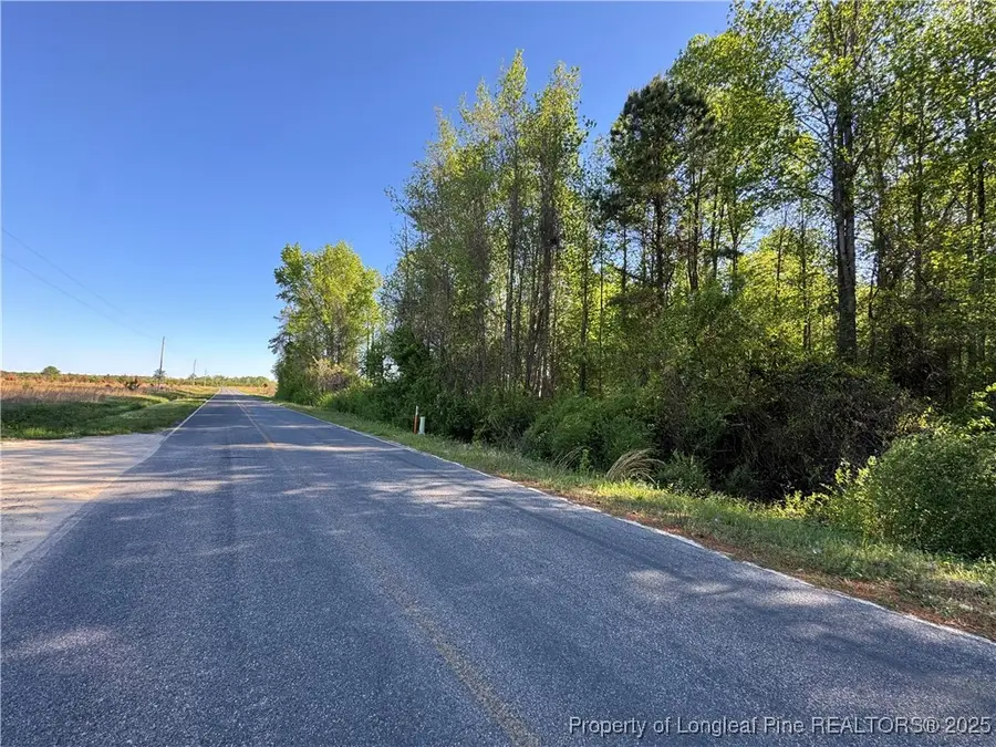 Mcbryde Mill Road, Red Springs, NC 28377 - Image #3