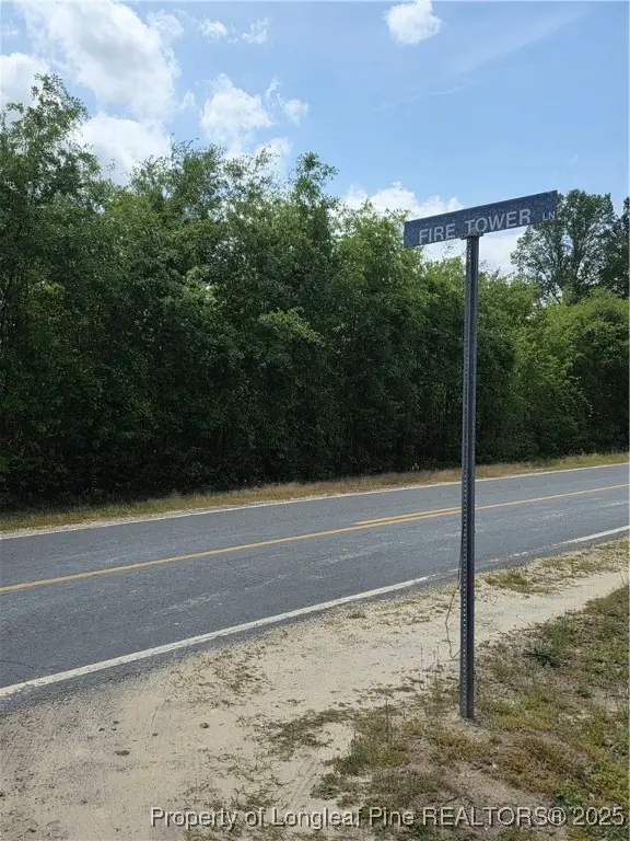 Fire Tower Lane, Raeford, NC 28376 - Image #3