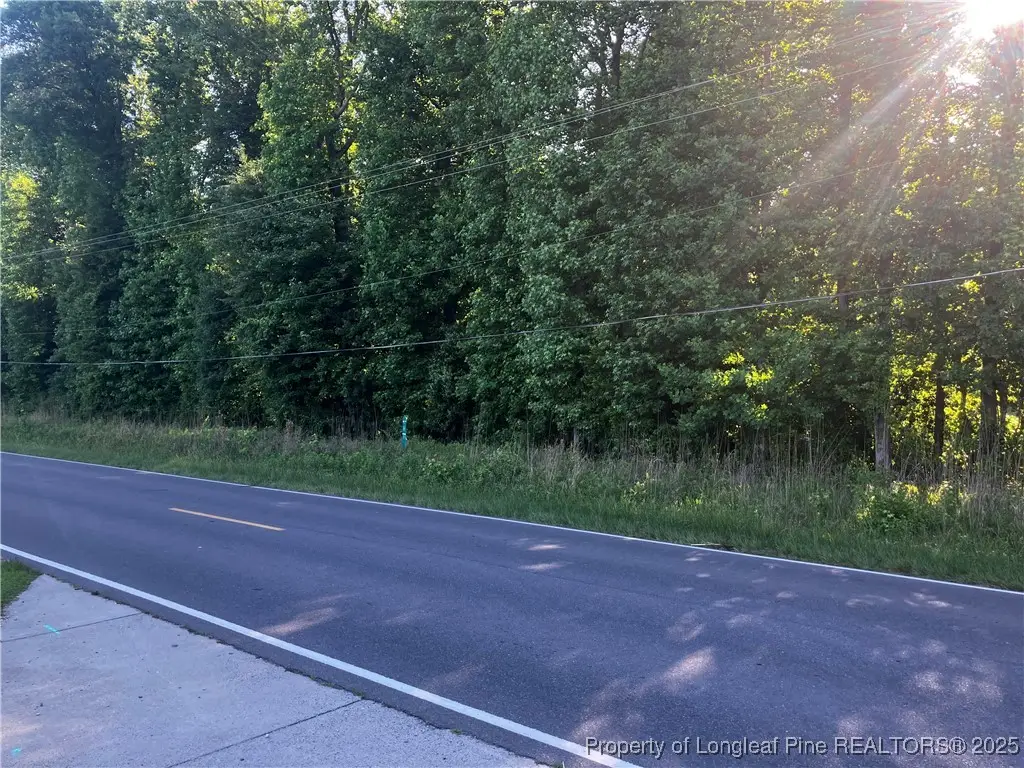 0 Lemon Springs Road, Sanford, NC 27332 - Image #1