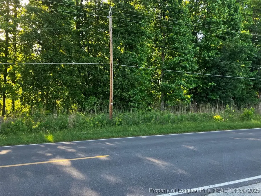 0 Lemon Springs Road, Sanford, NC 27332 - Image #3