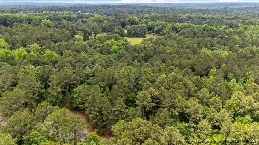 111 Millstone Court, West End, NC 27376 - #3