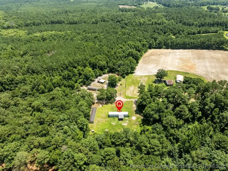 145 Opossum Ln, Harrells, NC 28444 - Image #2