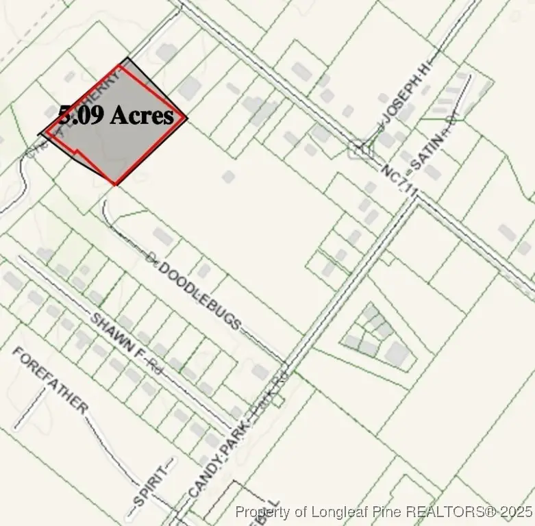 Cherry Lane, Pembroke, NC 28372 - Image #2