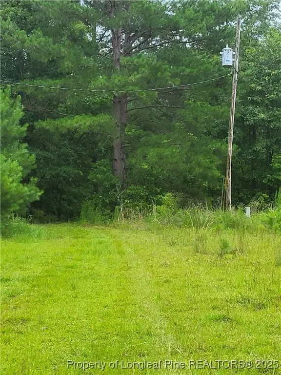 E Sarah Lane Lane E, Laurinburg, NC 28352 - Image #2