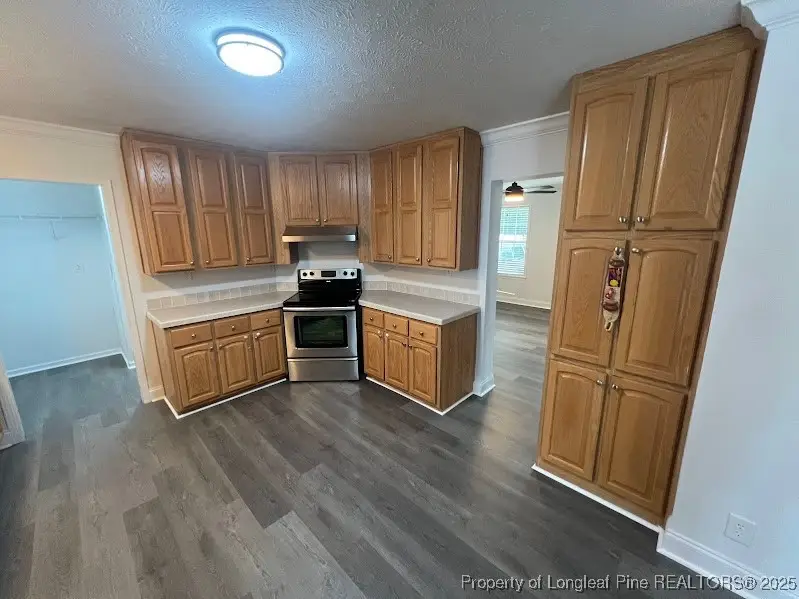 451 E Mcrainey Road, Saint Pauls, NC 28384 - Image #3