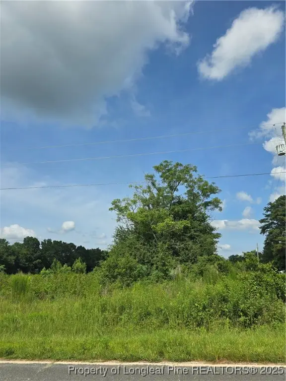 Walter Gibson Road, Raeford, NC 28376 - Image #2