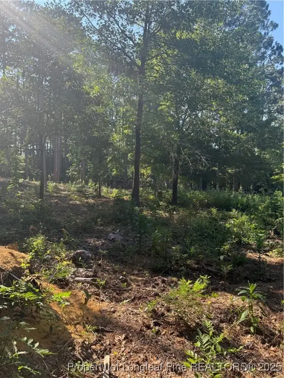 TBD Stephanie Street, Southern Pines, NC 28387 - #1