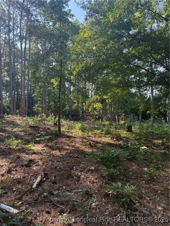 TBD Stephanie Street, Southern Pines, NC 28387 - #3
