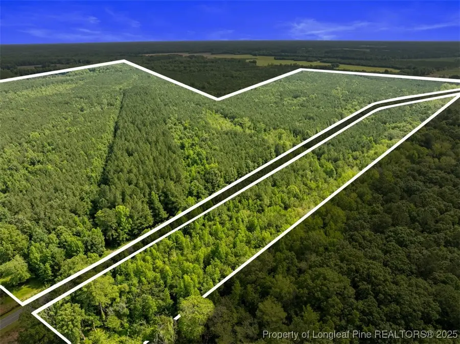 TBD Rich Walker Road, Wade, NC 28395 - #3