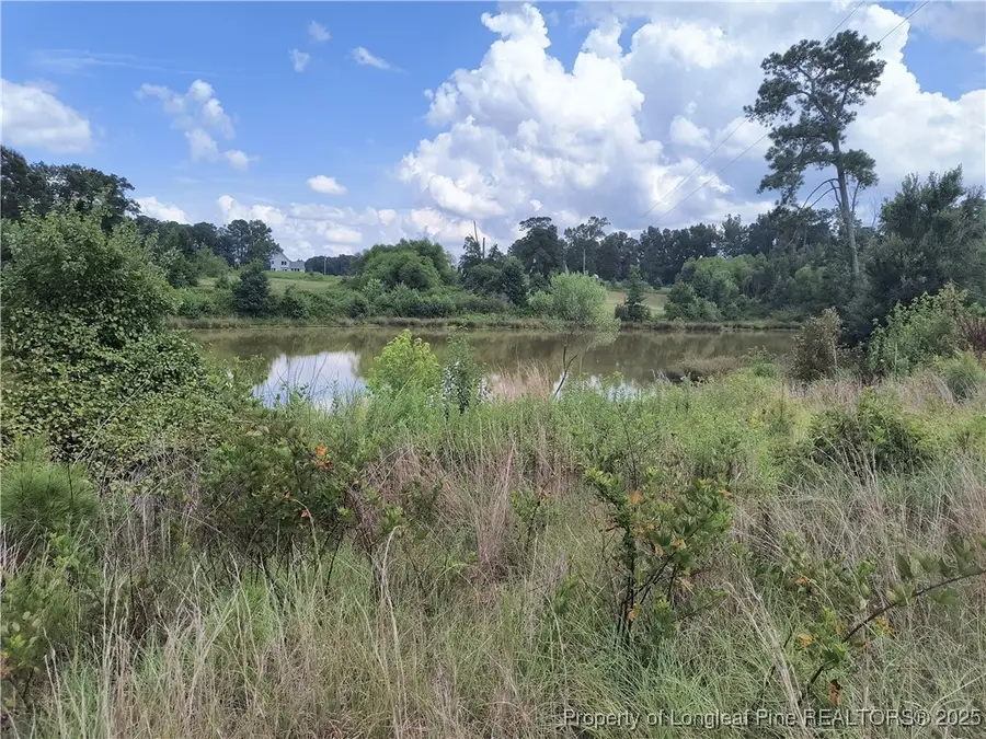 0 Circle T Drive, Lillington, NC 27546 - Image #3