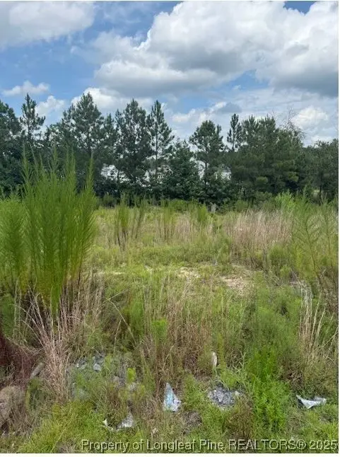 457 Pittfield Run, Cameron, NC 28326 - Image #2