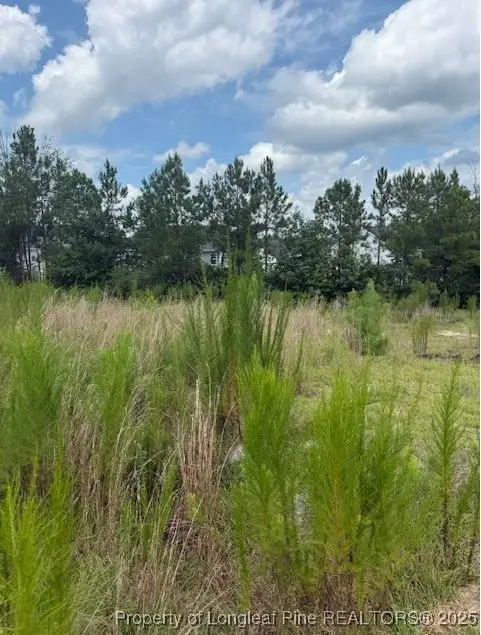 457 Pittfield Run, Cameron, NC 28326 - Image #3