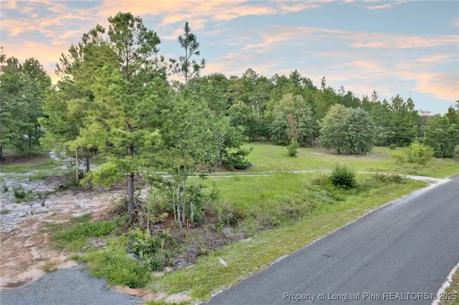 234 Brower Road, Cameron, NC 28326 - Image #3