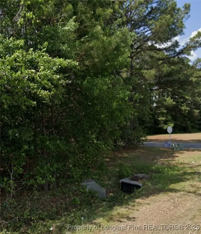 0 Marion Road, Lumberton, NC 28358 - Image #3