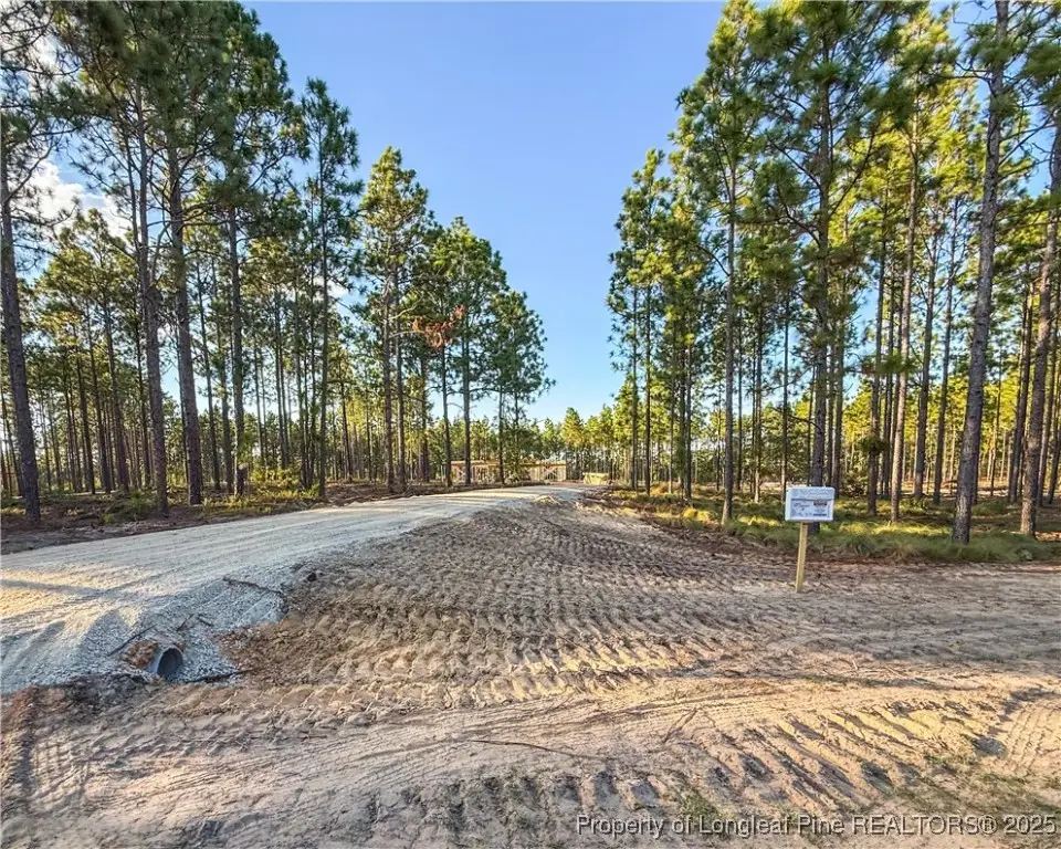 3035 Fields (lot 3) Road, Fayetteville, NC 28312 - Image #1