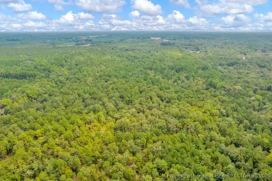 00 Blue Woods Road, Laurinburg, NC 28352 - Image #2