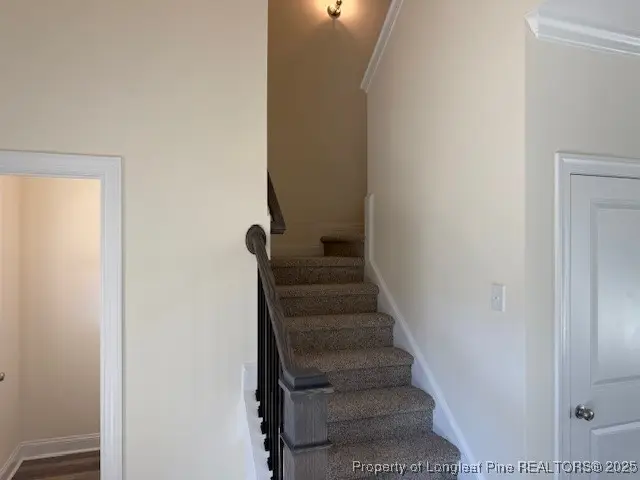 187 Surles Landing Way, Benson, NC 27504 - Image #3