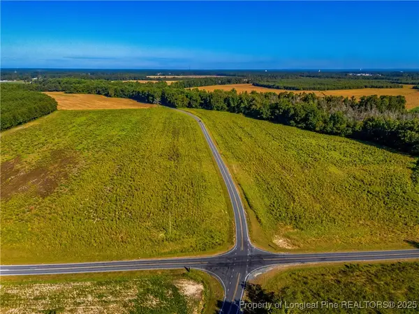 Lot 18 Daniel Mcleod Road, Red Springs, NC 28377