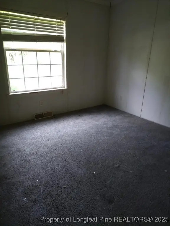 15841 Saint Johns Church Road, Gibson, NC 28343 - Image #2