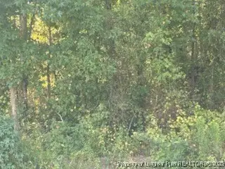 2743 Pine Log Road, Lumberton, NC 28360 - Image #2