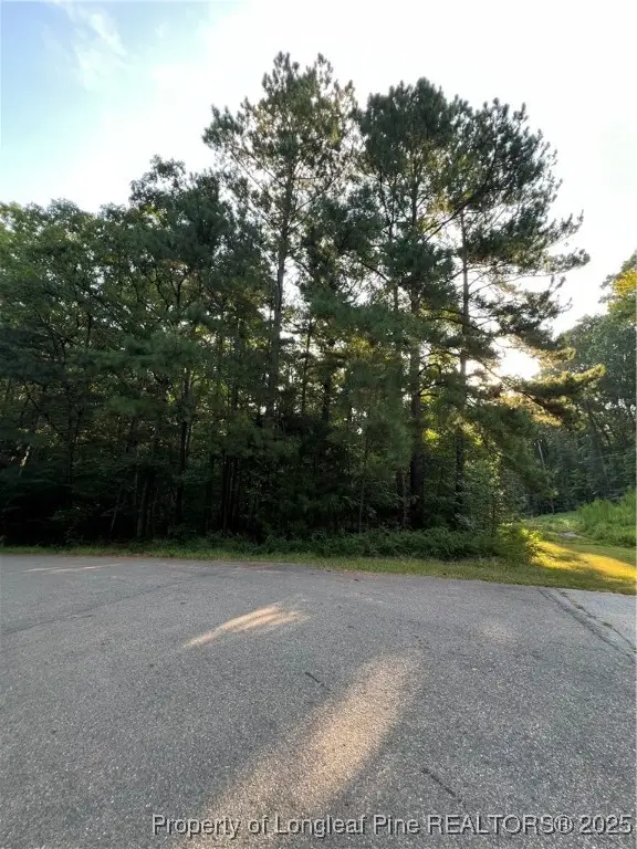 0 Dumbarton Drive, Sanford, NC 27330 - Image #2