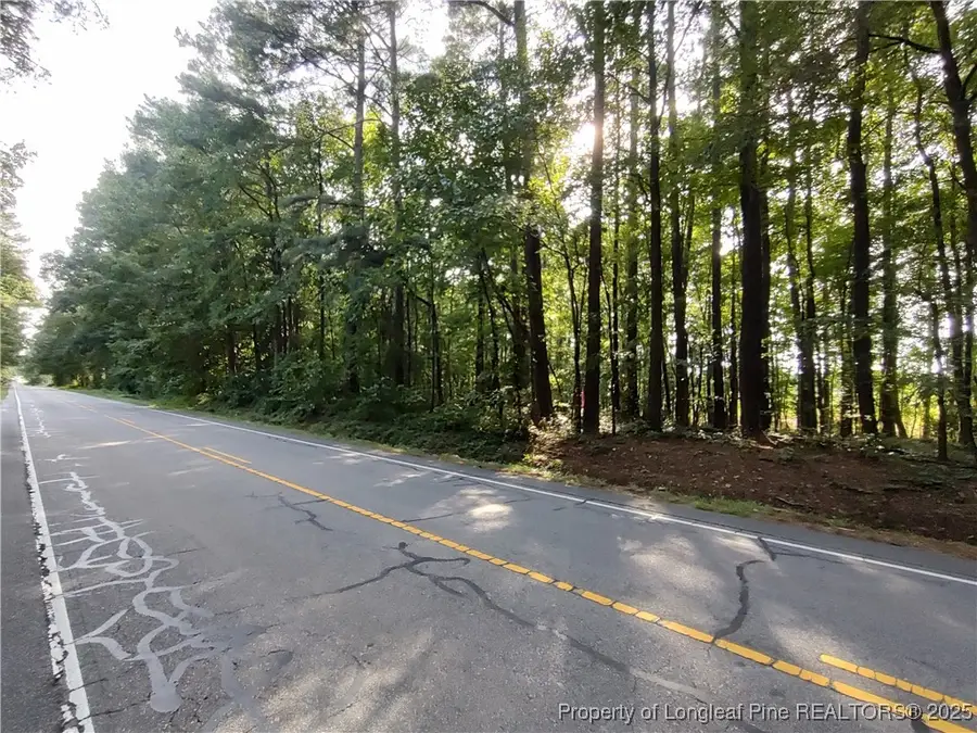 Lot 8 Lemon Springs Road, Sanford, NC 27332 - Image #2