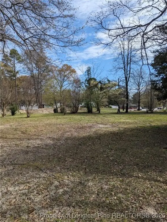 106 S Wilkinson Drive, Saint Pauls, NC 28384 - Image #1