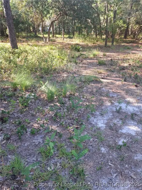 3317 Marlin Drive, Bolivia, NC 28422 - Image #3