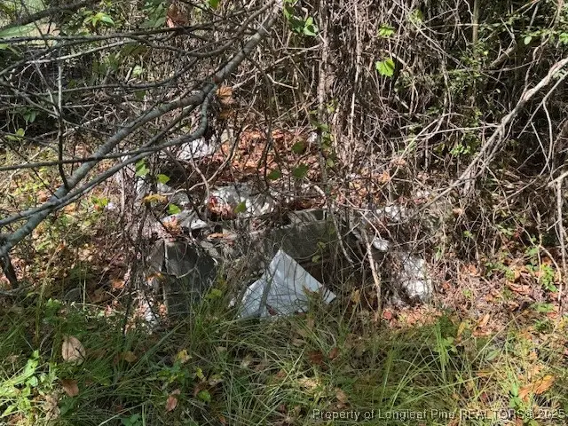 3529 Blossom Road, Fayetteville, NC 28306 - Image #2