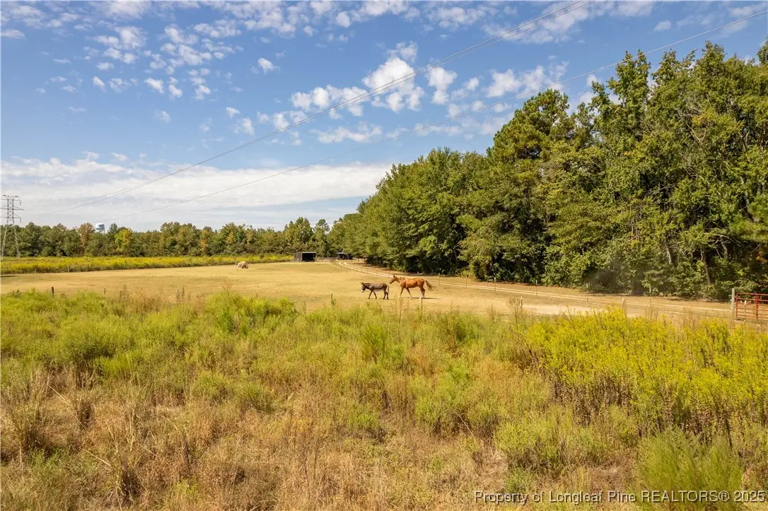 5000 Arabia Drive, Lumber Bridge, NC 28357 - #1