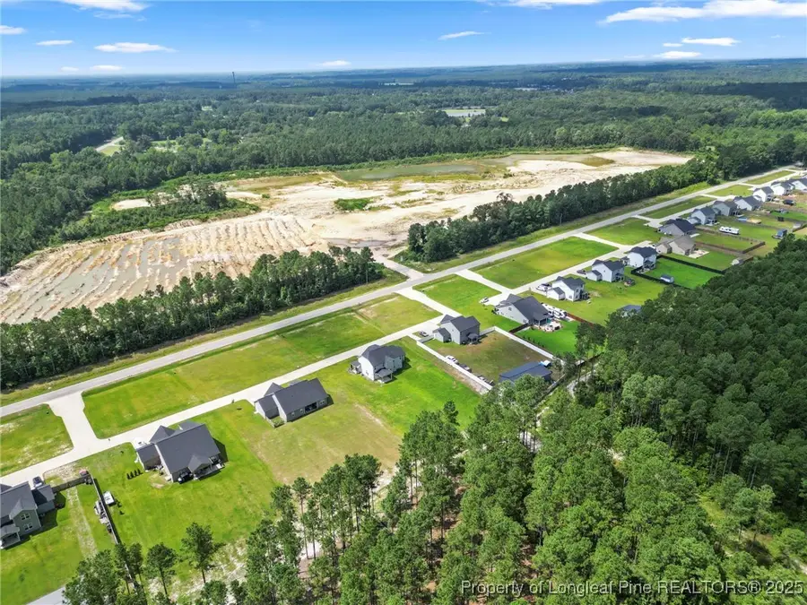 176 Josey Williams Road, Erwin, NC 28339 - #3