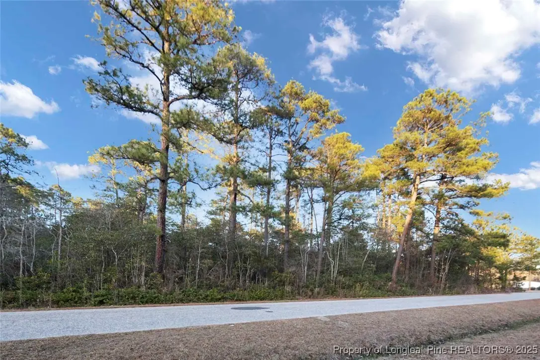 511 Sanders Street, Hope Mills, NC 28348 - Image #1