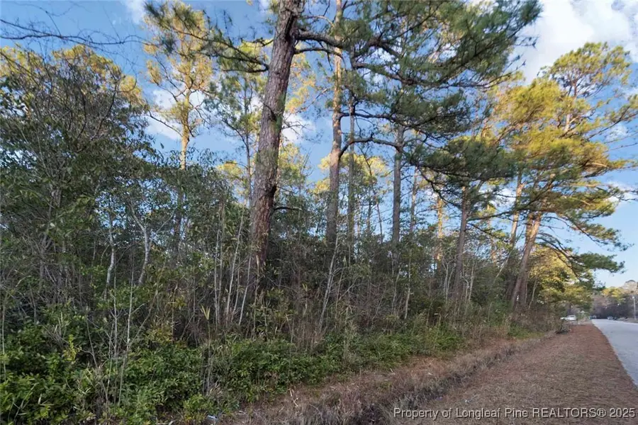 511 Sanders Street, Hope Mills, NC 28348 - Image #3