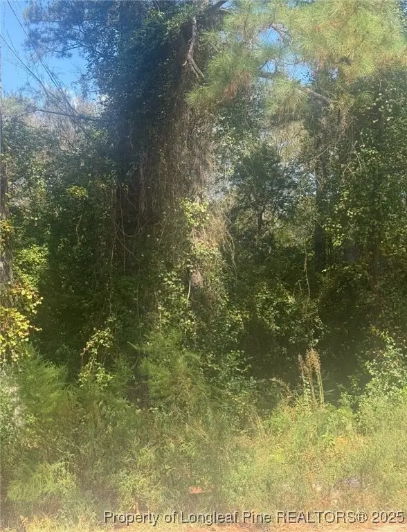 2905 Midland Court, Fayetteville, NC 28306 - Image #2