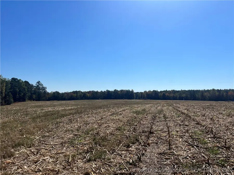 15894 Nc 24/27 Highway, Eagle Springs, NC 27242 - Image #3